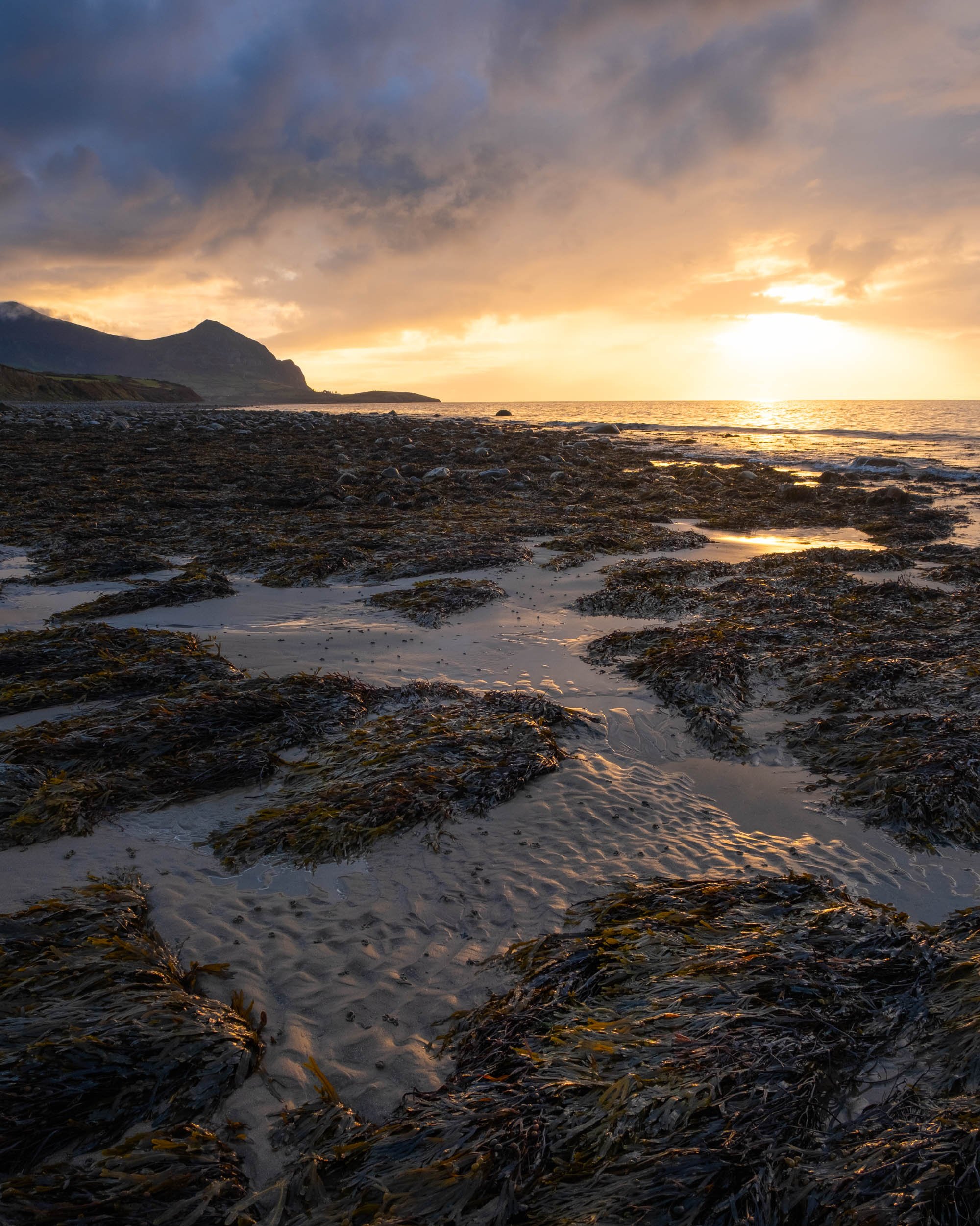 anglesey2-1.jpg