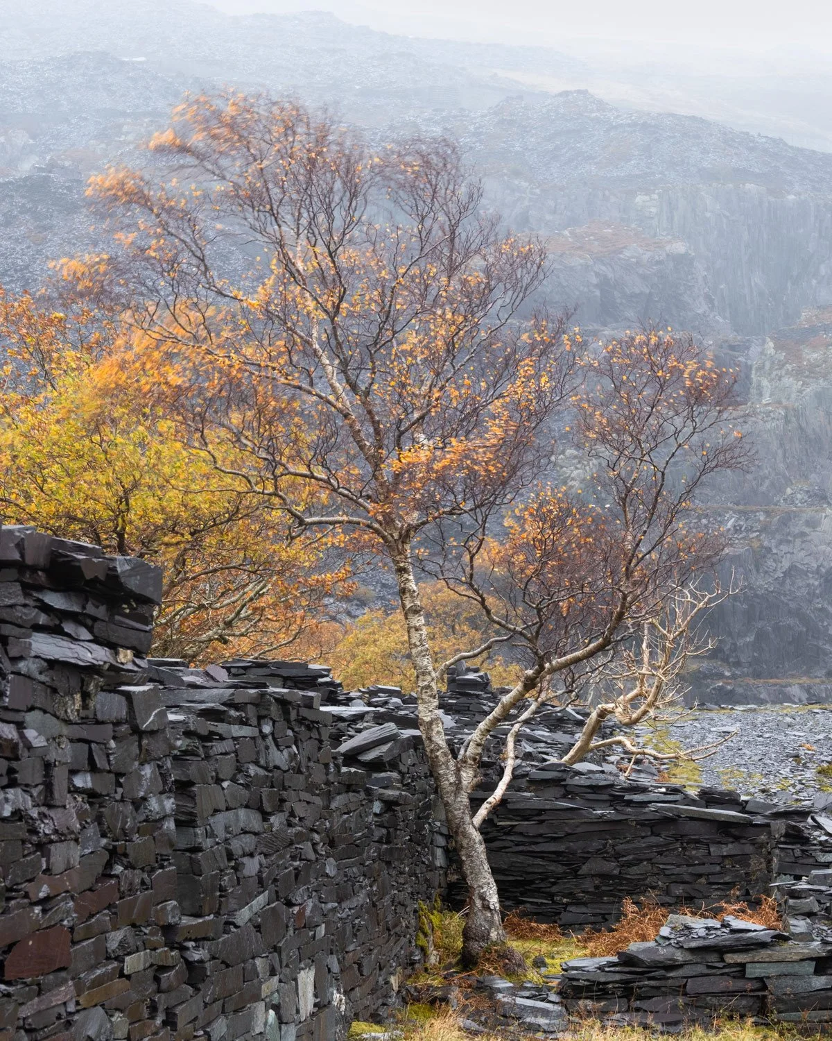 snowdonia2.jpg