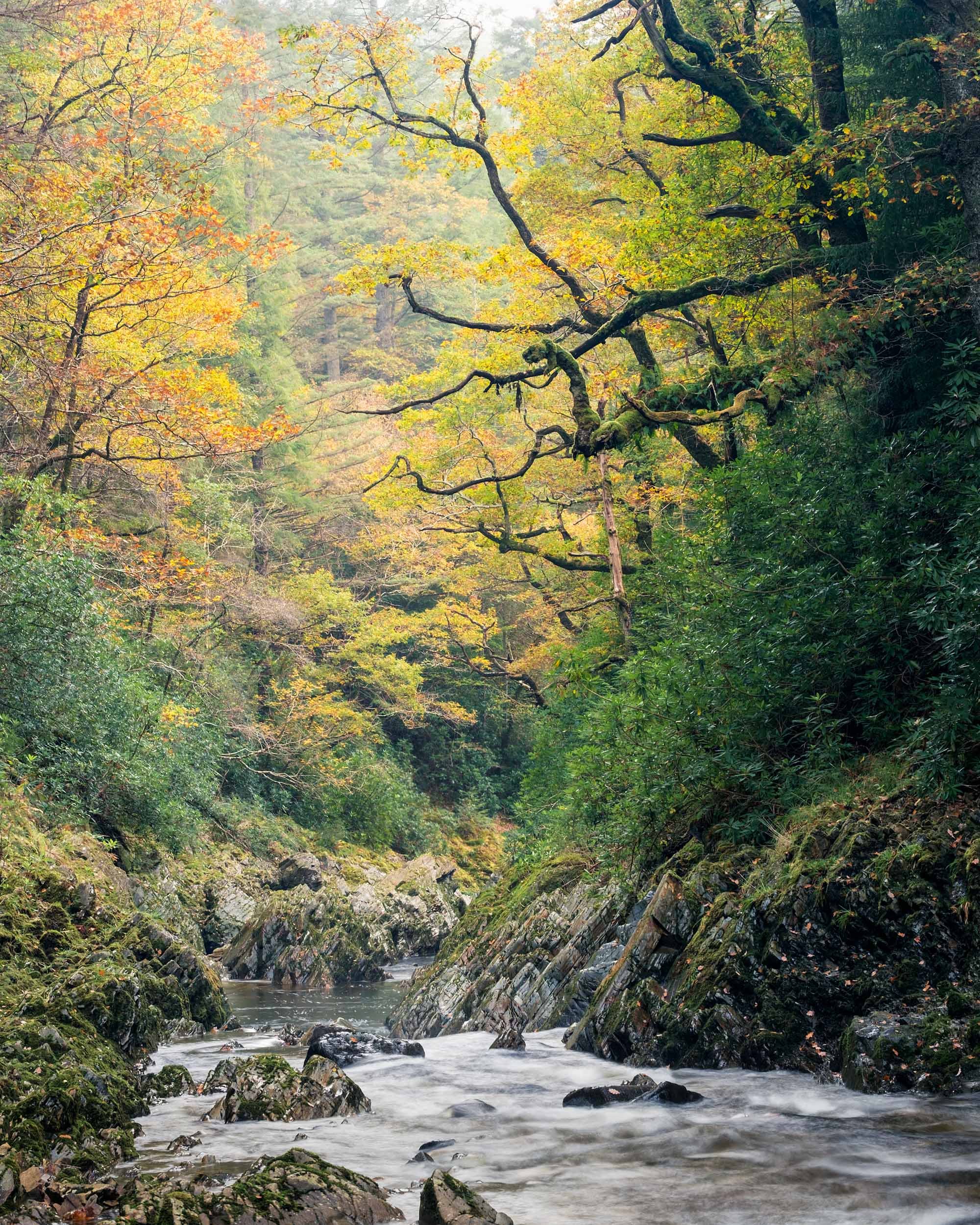 snowdonia 2-1.jpg