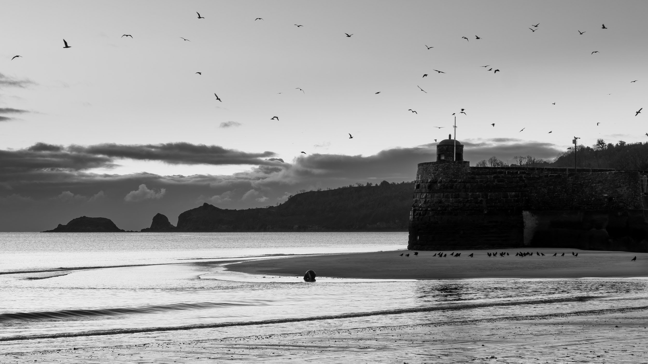 Saundersfoot harbour landscape photography