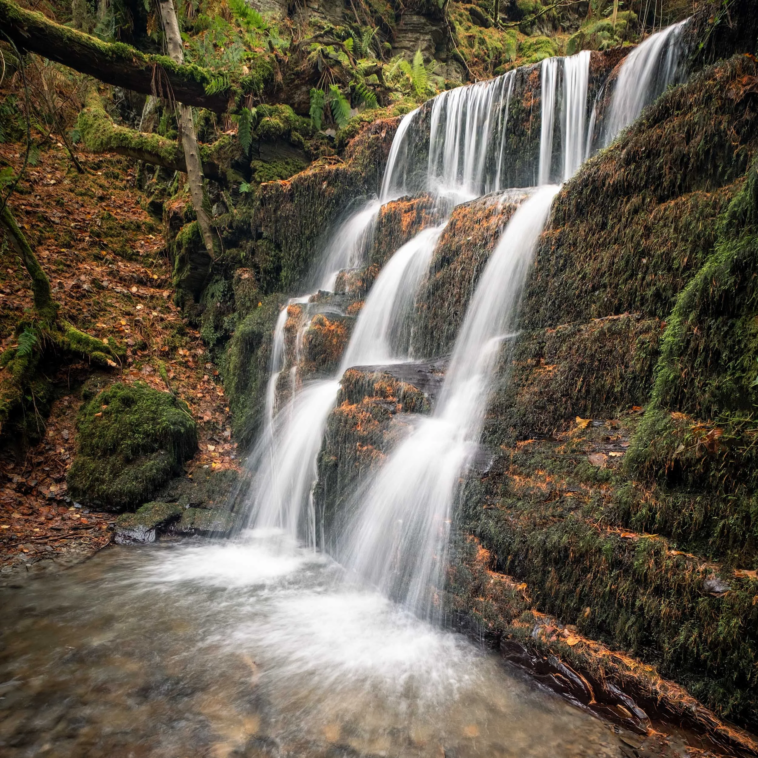 snowdonia 2-3.jpg
