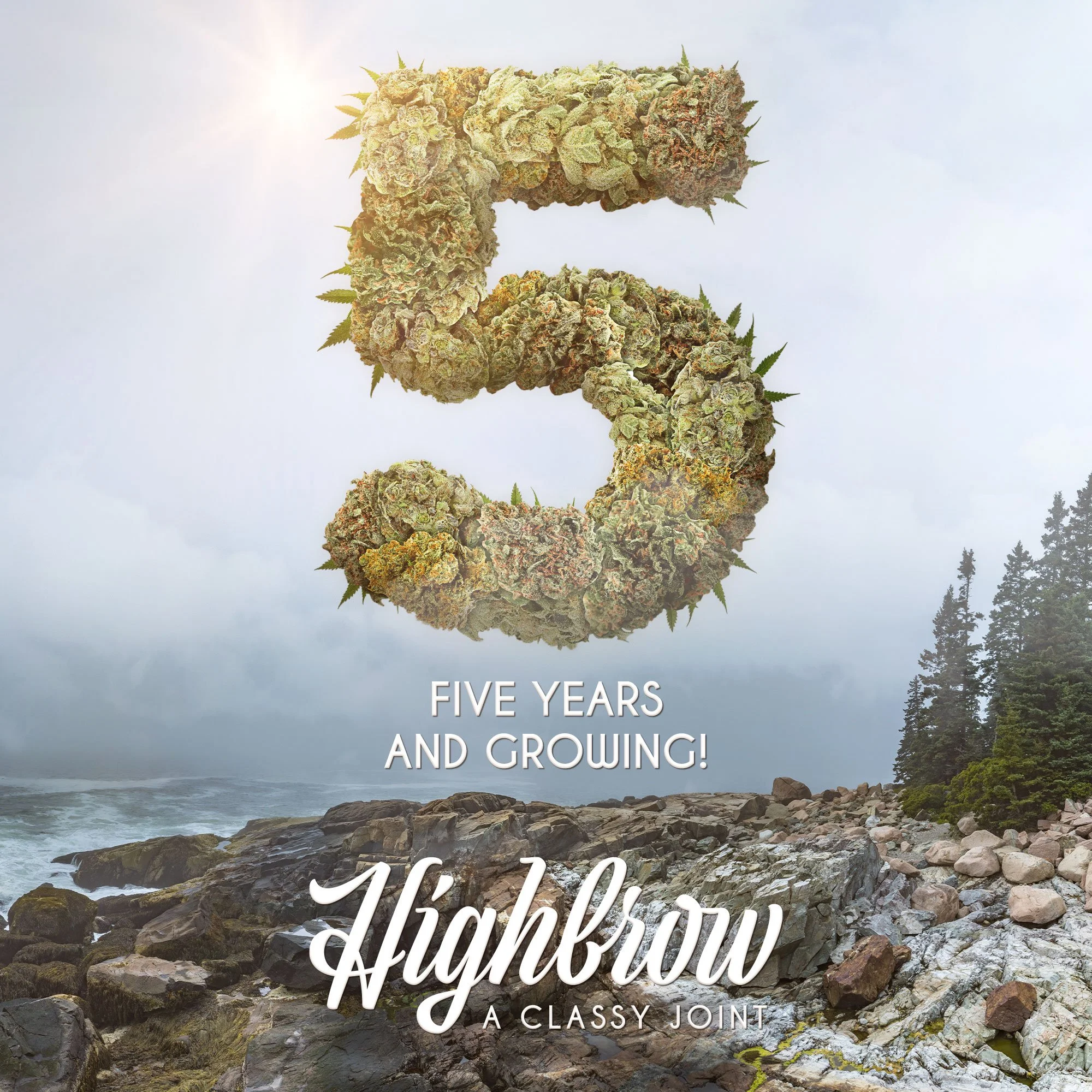 Friday, April 22nd is Highbrow's 5th Anniversary!
