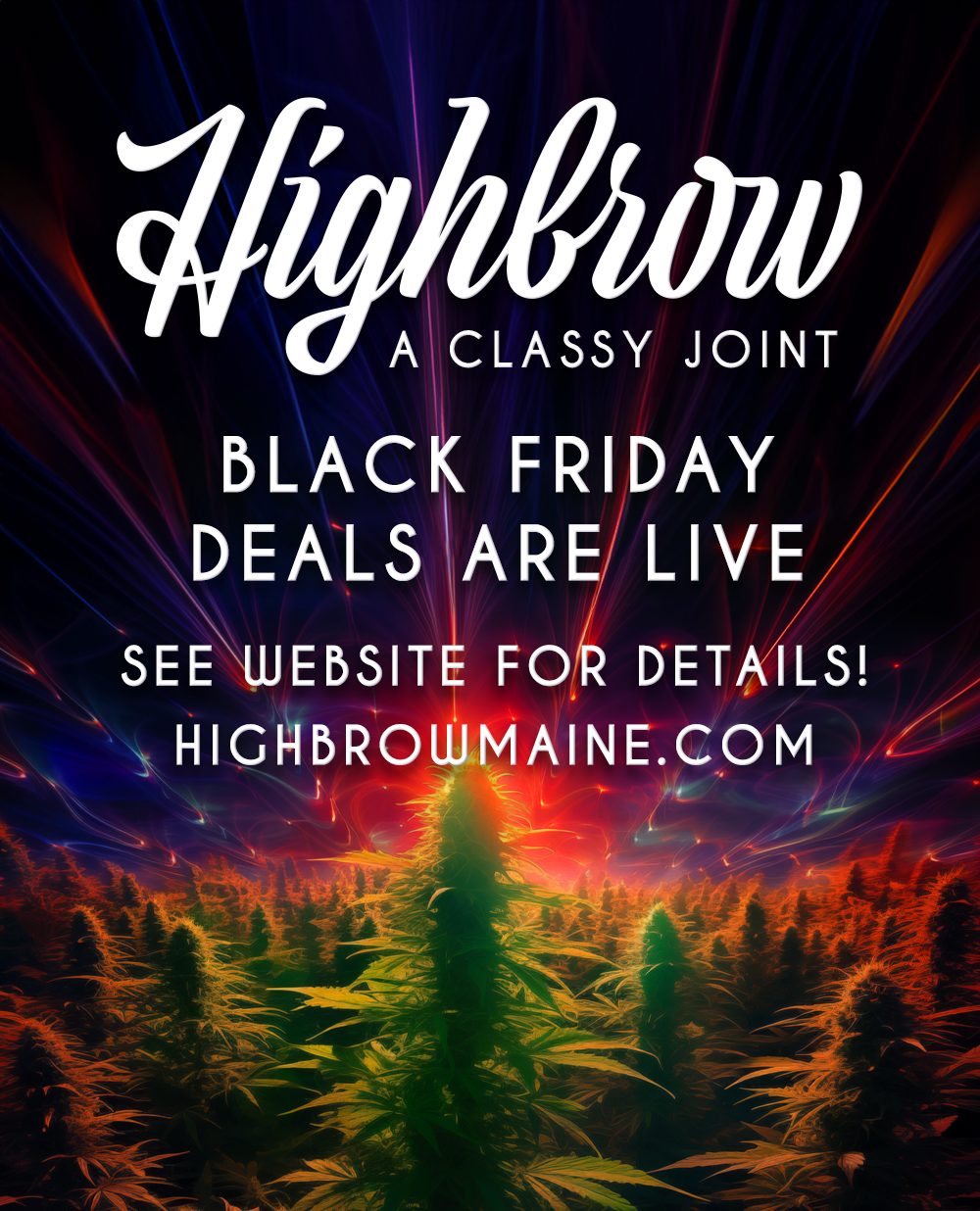 Black Friday Deals
