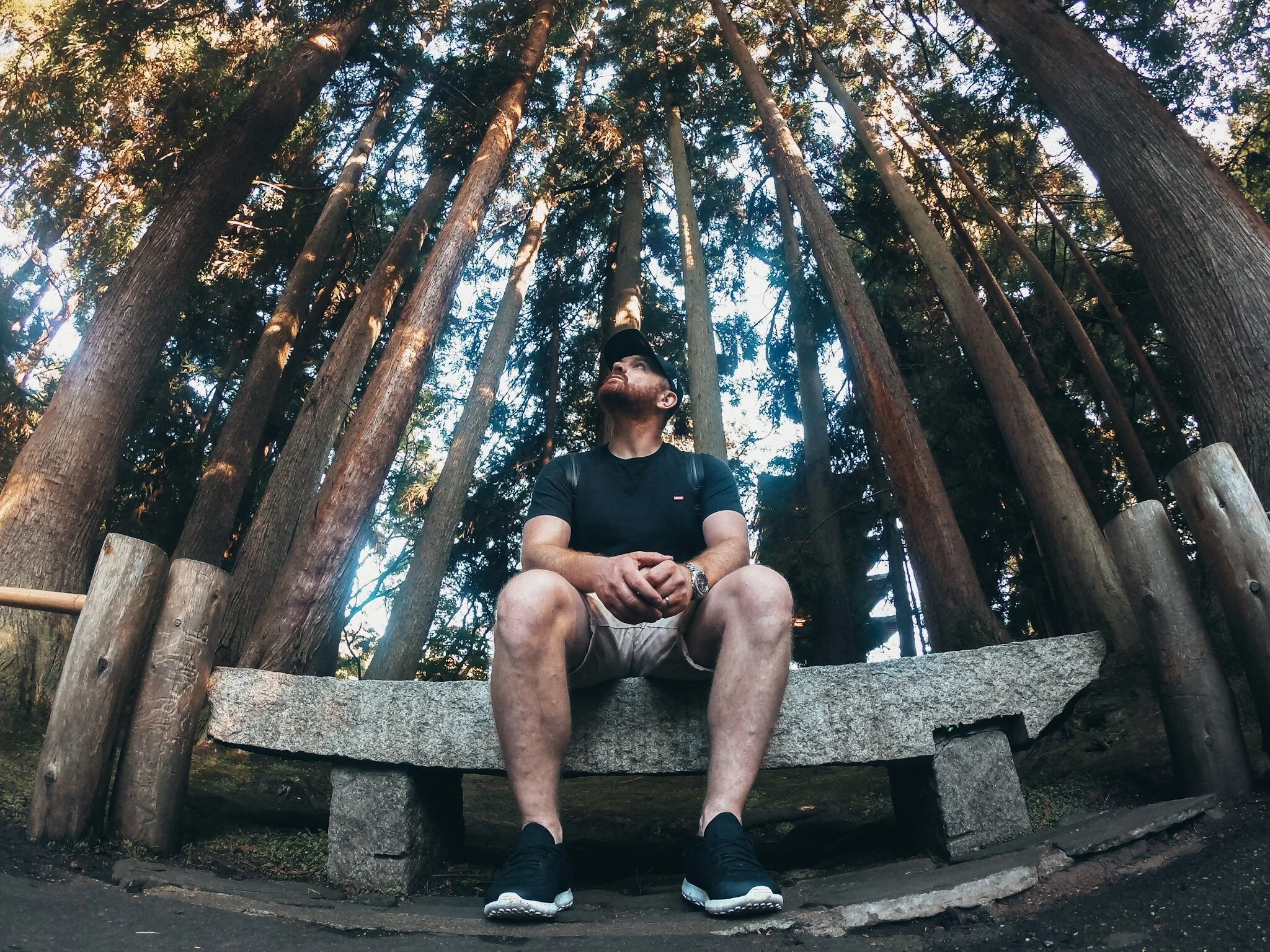 Japanese Gardens San Francisco