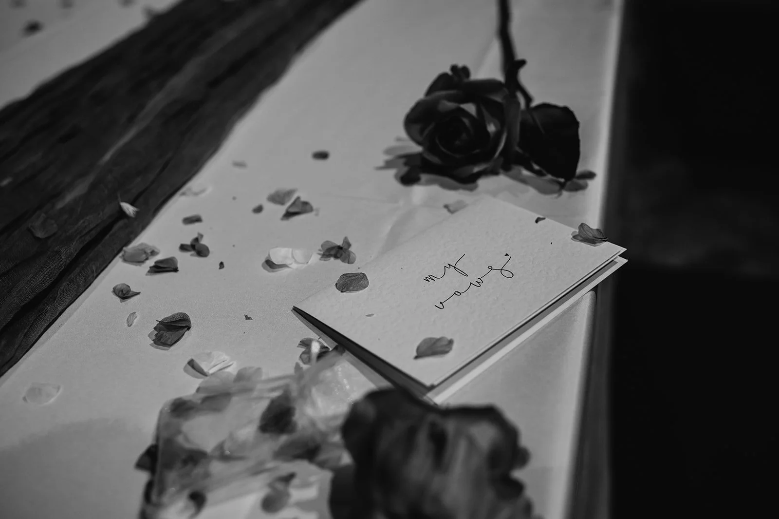 Art Gallery soical use -45.jpg