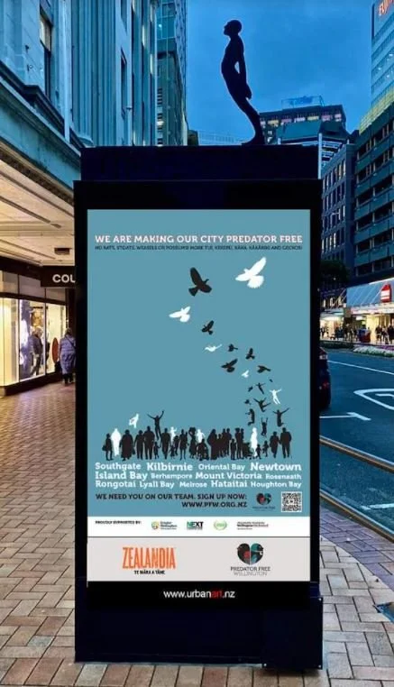 Main image for Island Bay to CBD eradication - phase 2