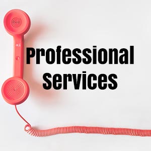 Pro Services 