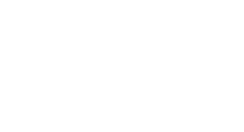 Puma+White.png