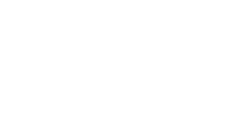 Via+Rail+white.png