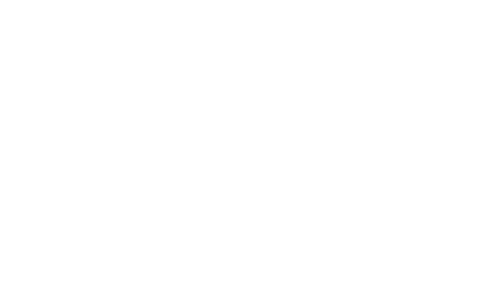 Ford+White.png