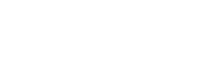Discraft