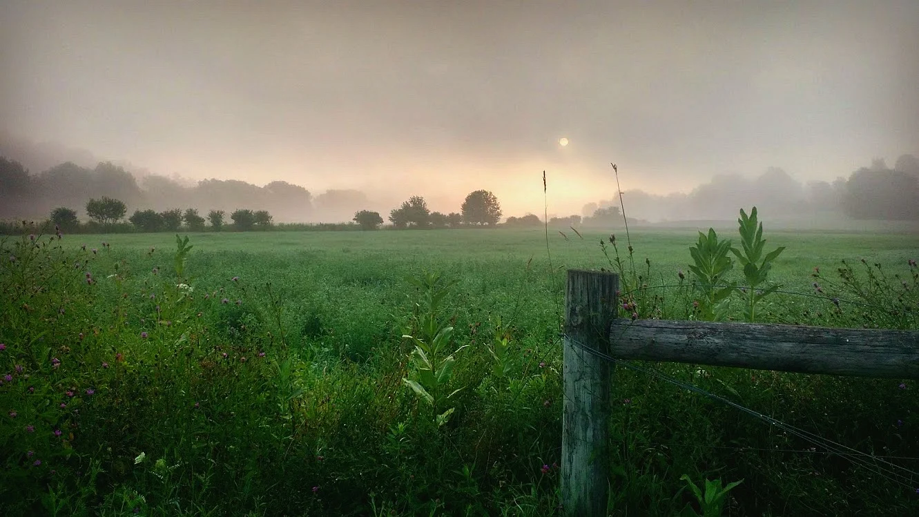 IMG_20180808_063624816_HDR.jpg