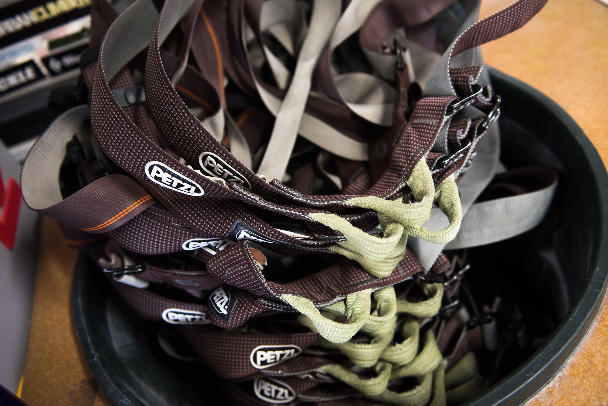 Harness.jpg