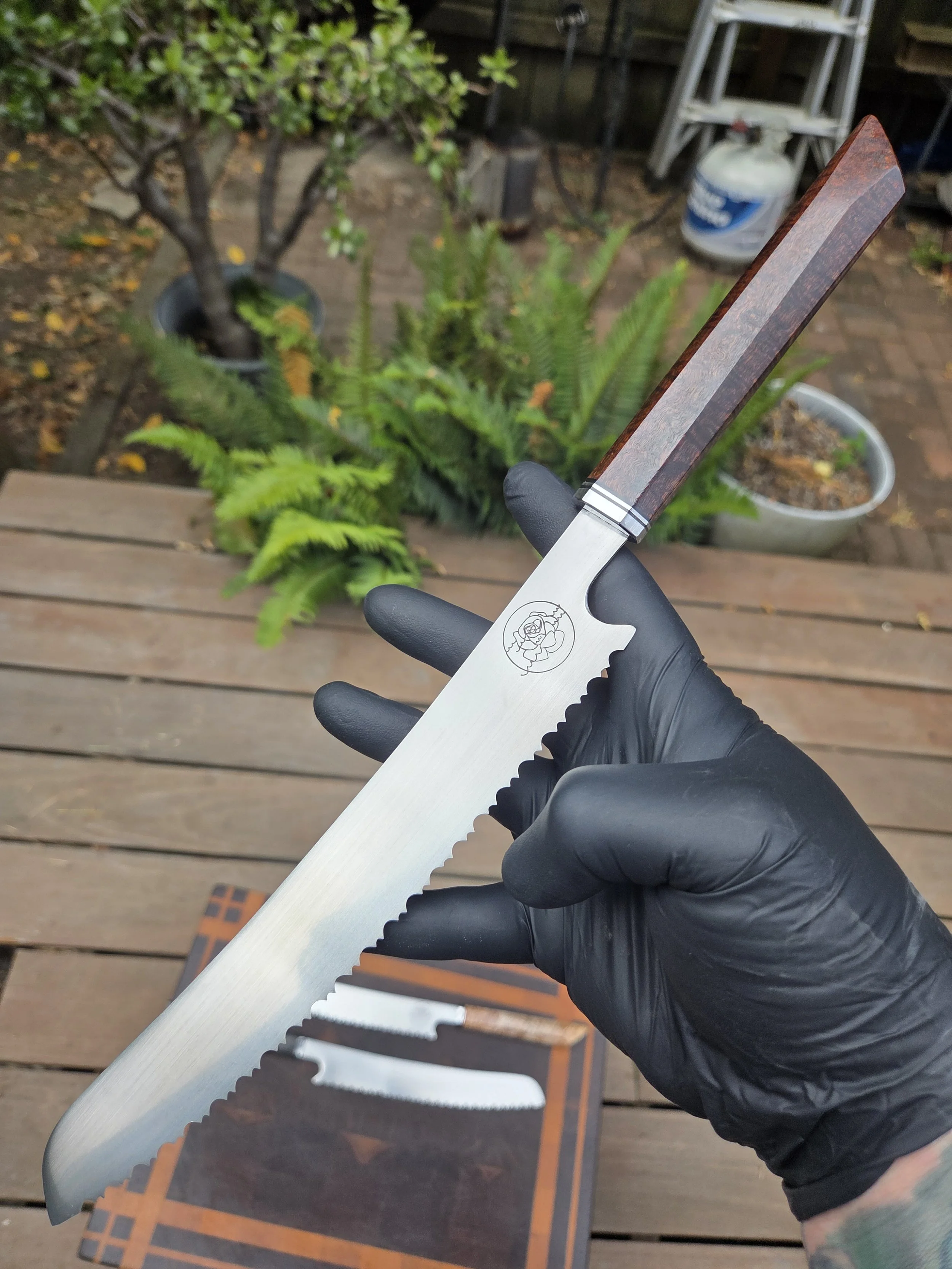 Sea Rose stainless serrated western myall