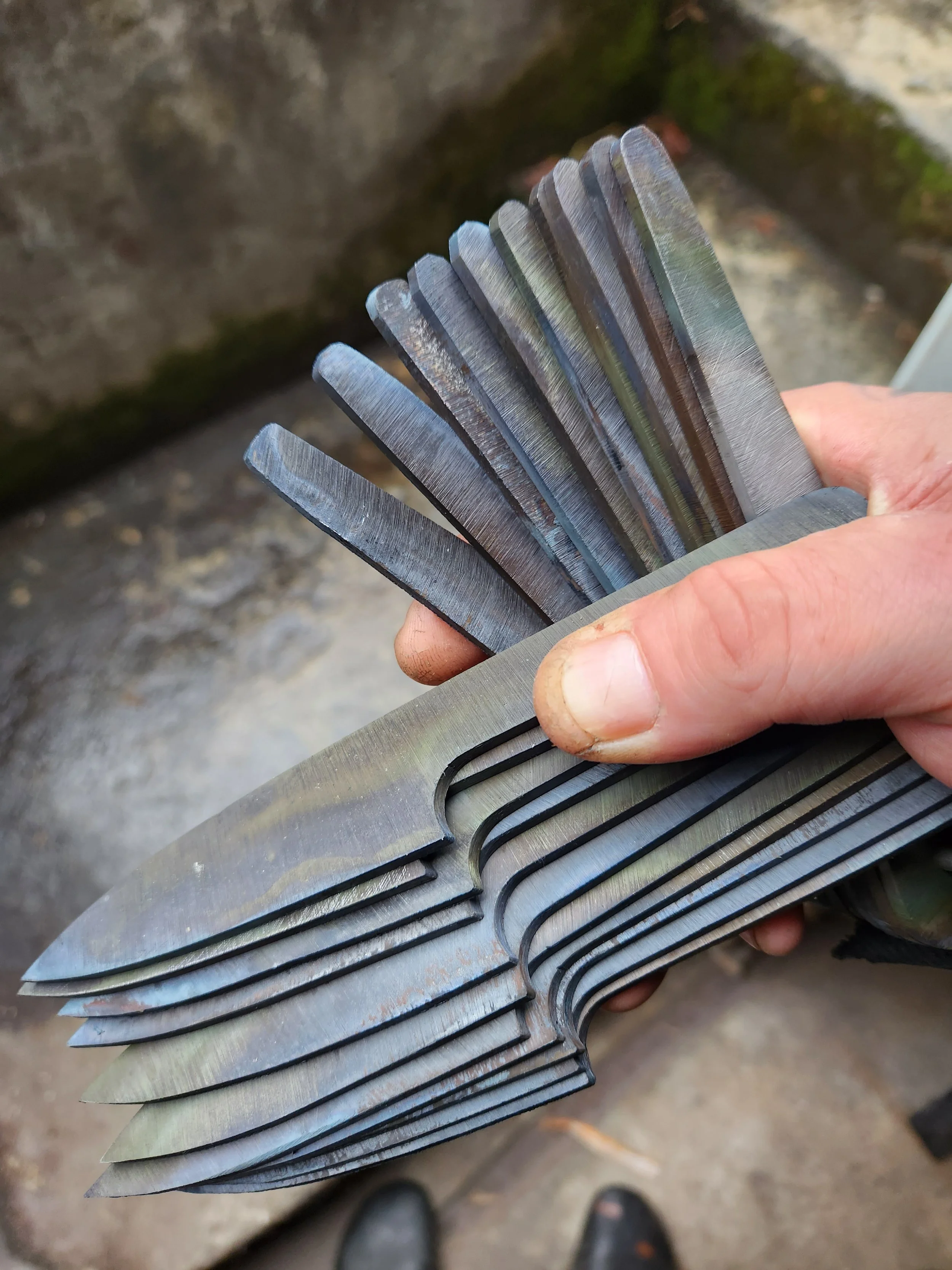 Sea Rose paring knives oyster knives 