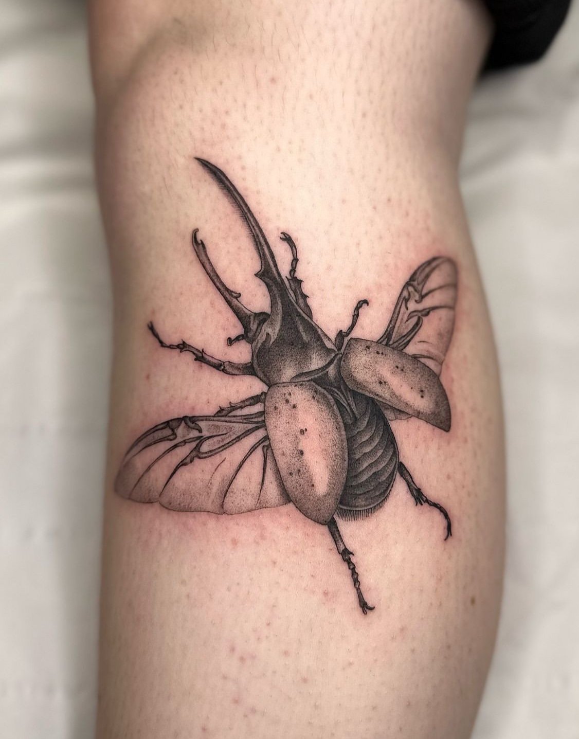 Tattoo uploaded by Scott • Beetle • Tattoodo