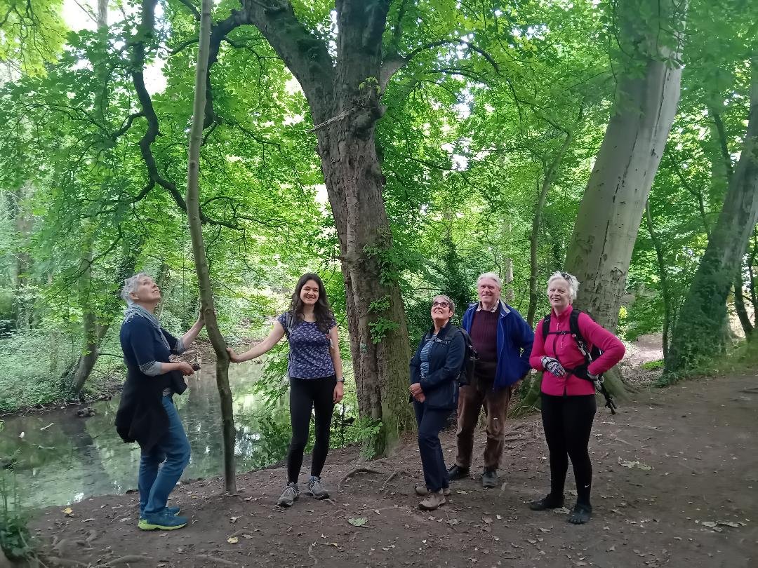 Green Walk and Talk book group