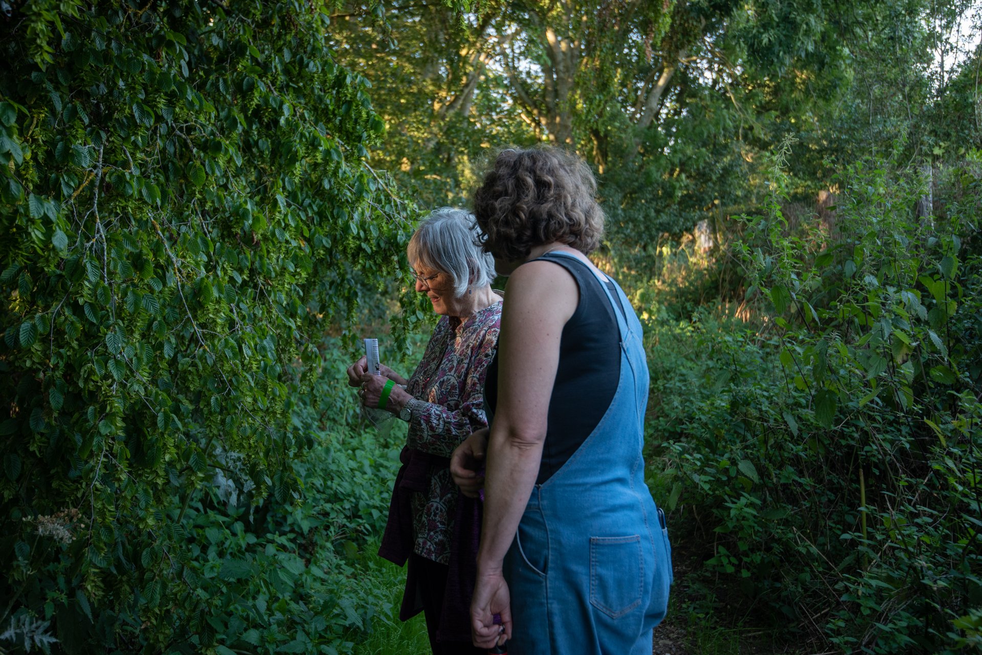 Nature Centred Day Retreat