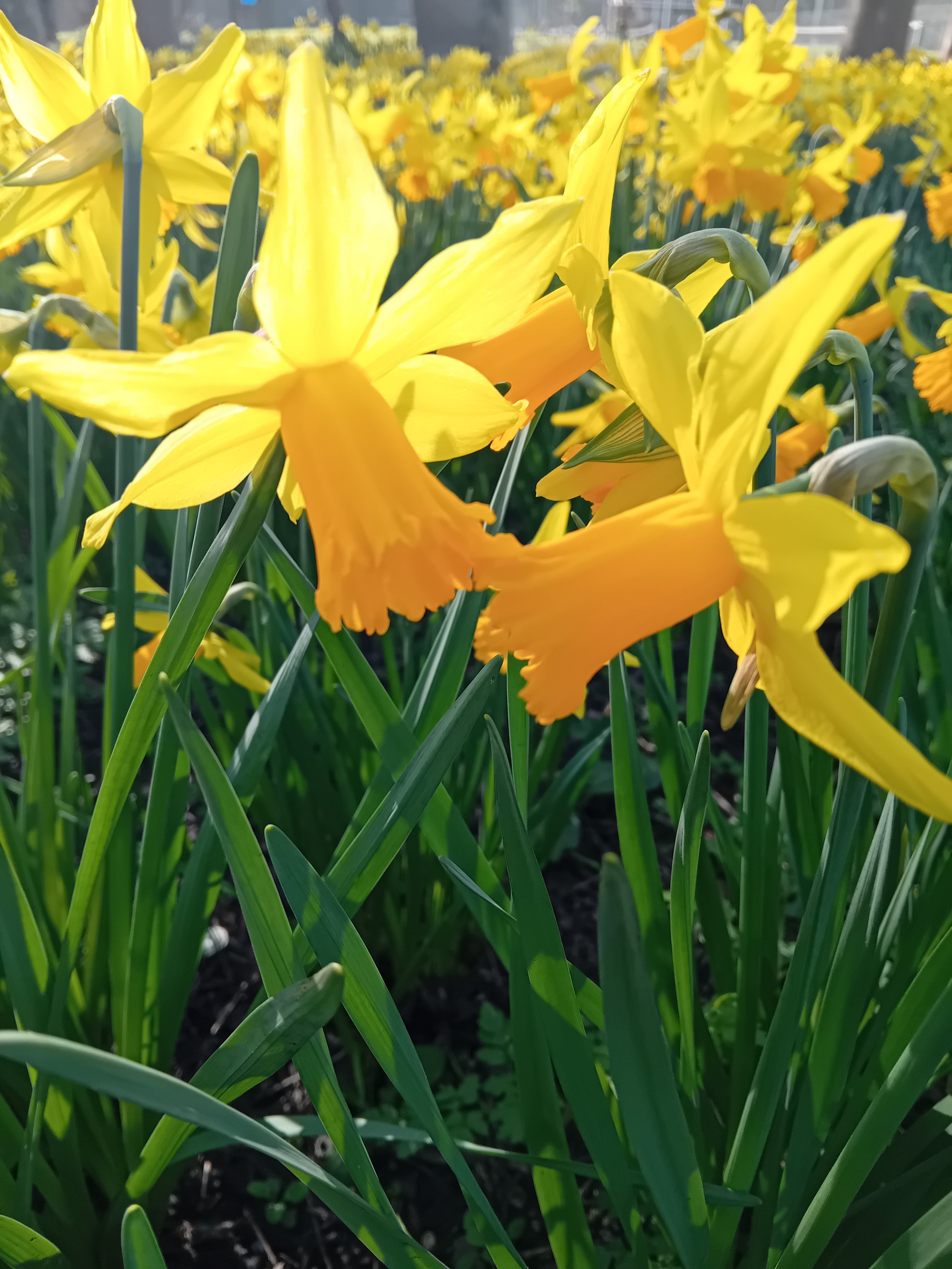 Spring Equinox Women's Circle