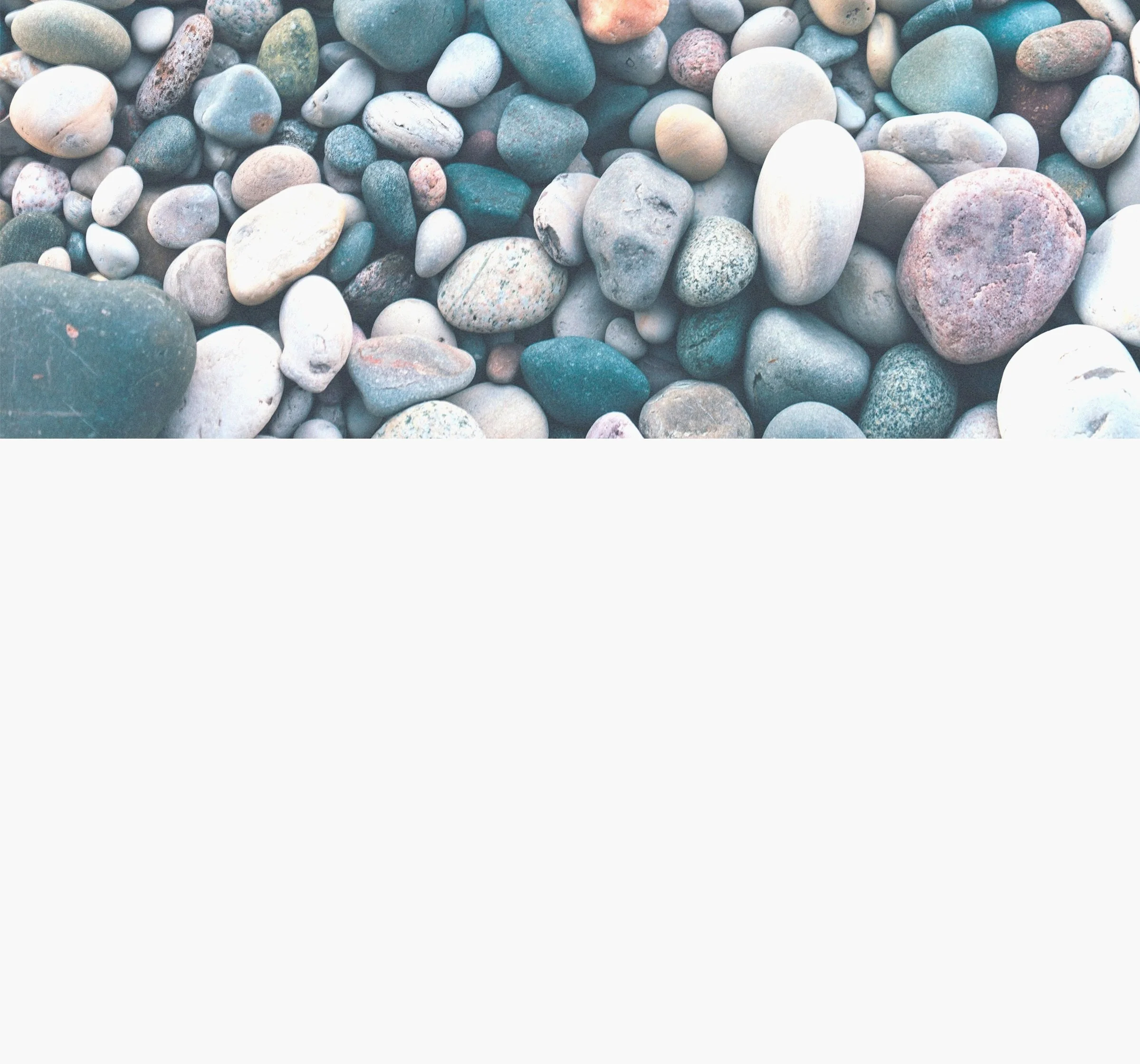 03-Banner_Image.jpg