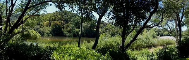fogg_backyard-river.jpg
