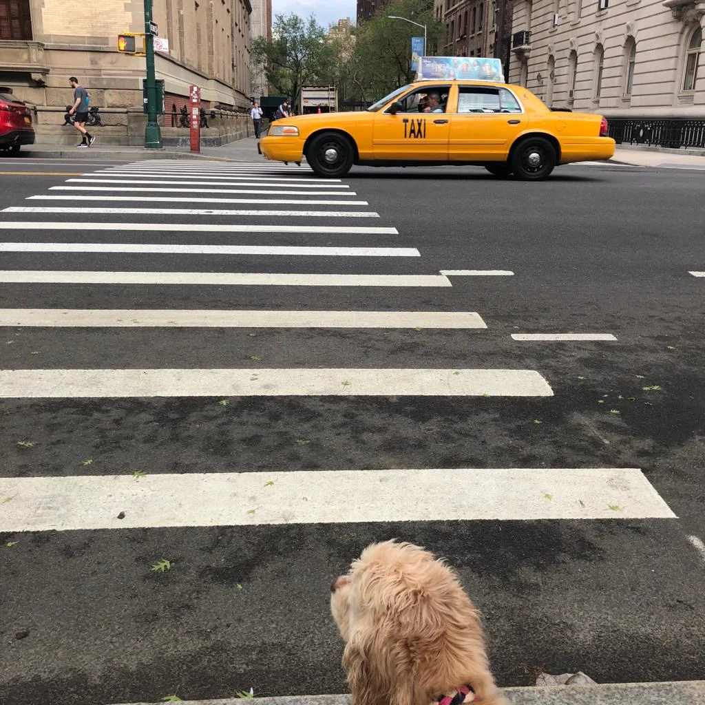 2019-04-01_Martha C.jpeg
