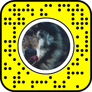 SAsnaplens.png