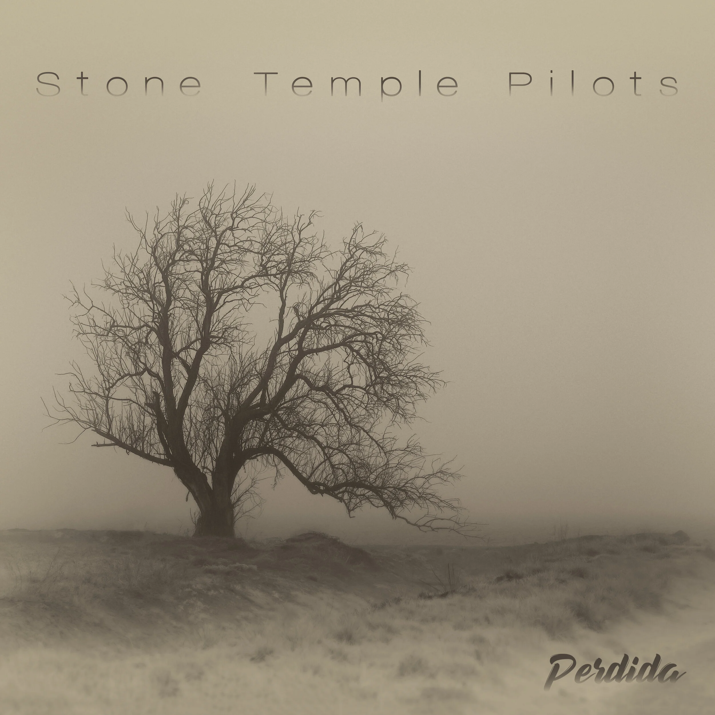 STONE TEMPLE PILOTS ANNOUNCE FIRST ACOUSTIC ALBUM AND TOUR