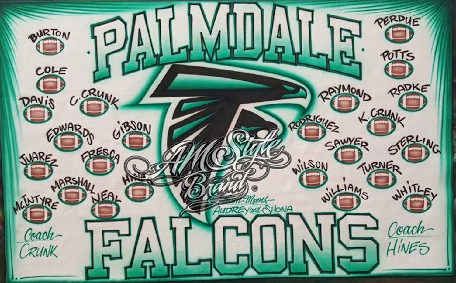 Falcons Airbrush Football and Sports Team Banners, Personalized Airbrush Banners - Made to order