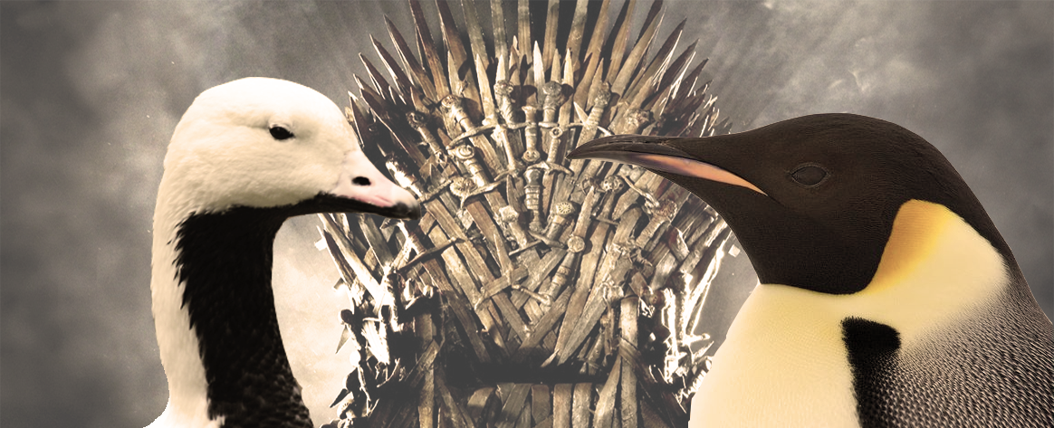 birdofthrones.png