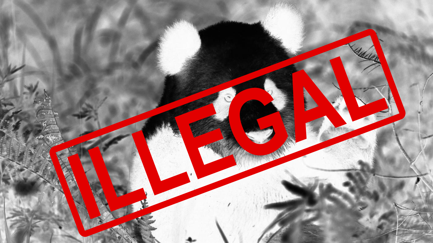 illegal.png
