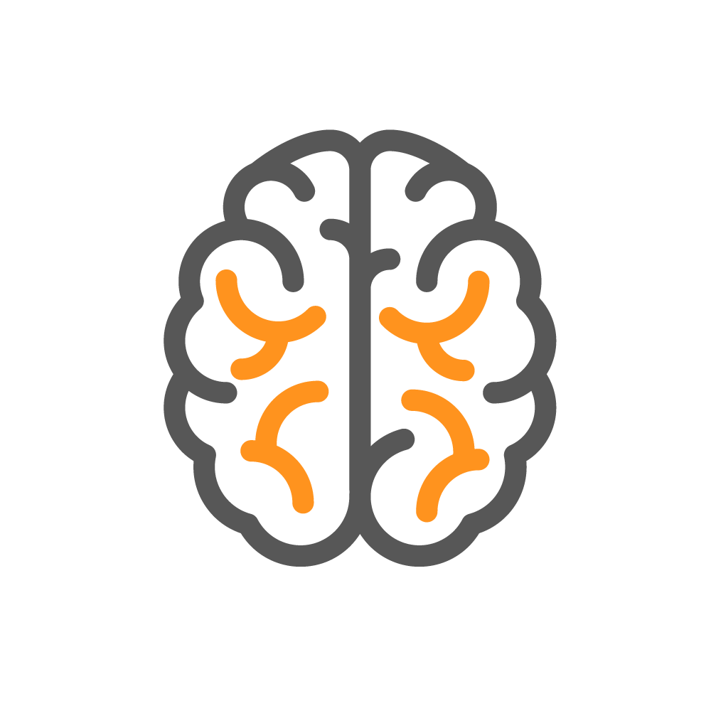 Brain.png