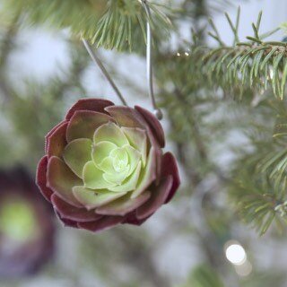 succulent-ornament-3-640x640.jpg