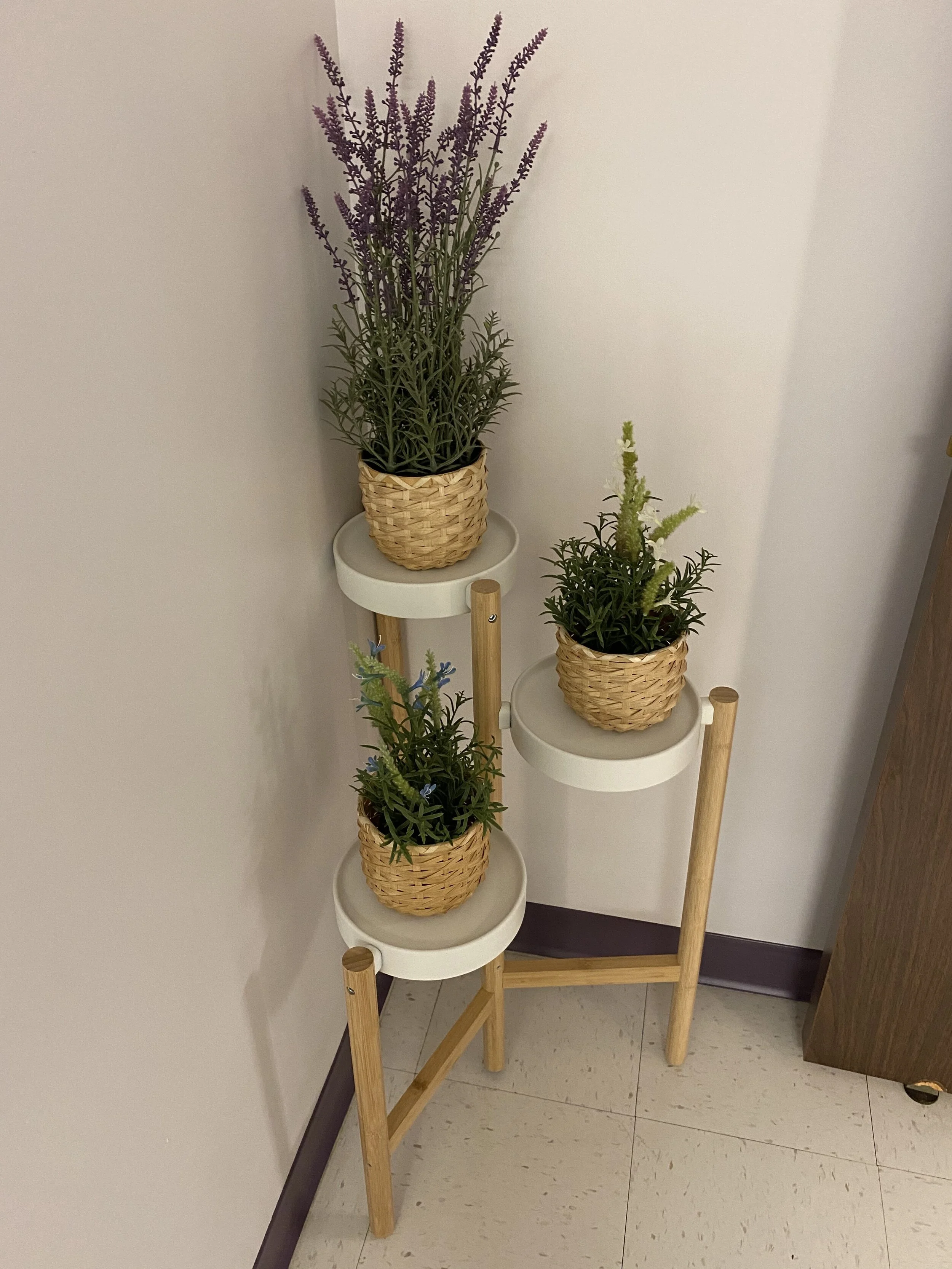 $75 (SOLD)