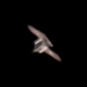 Getting Better At ISS