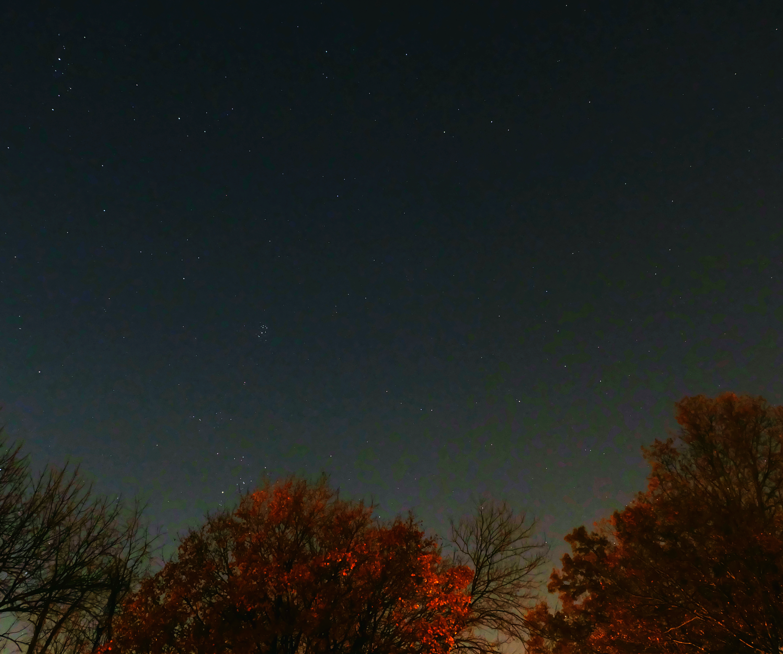 Thanksgiving Pleiades