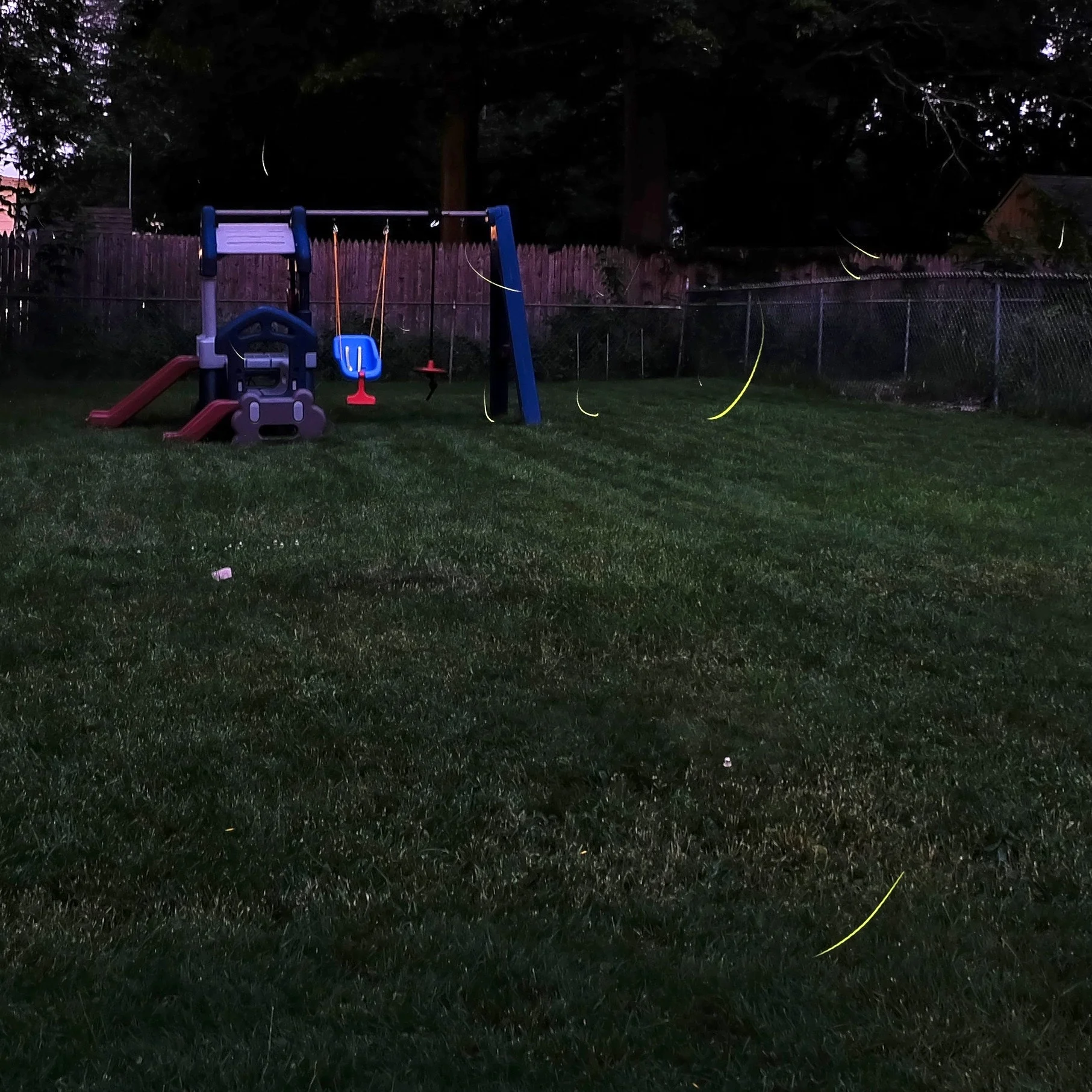 Enjoying a Peaceful Summer Evening