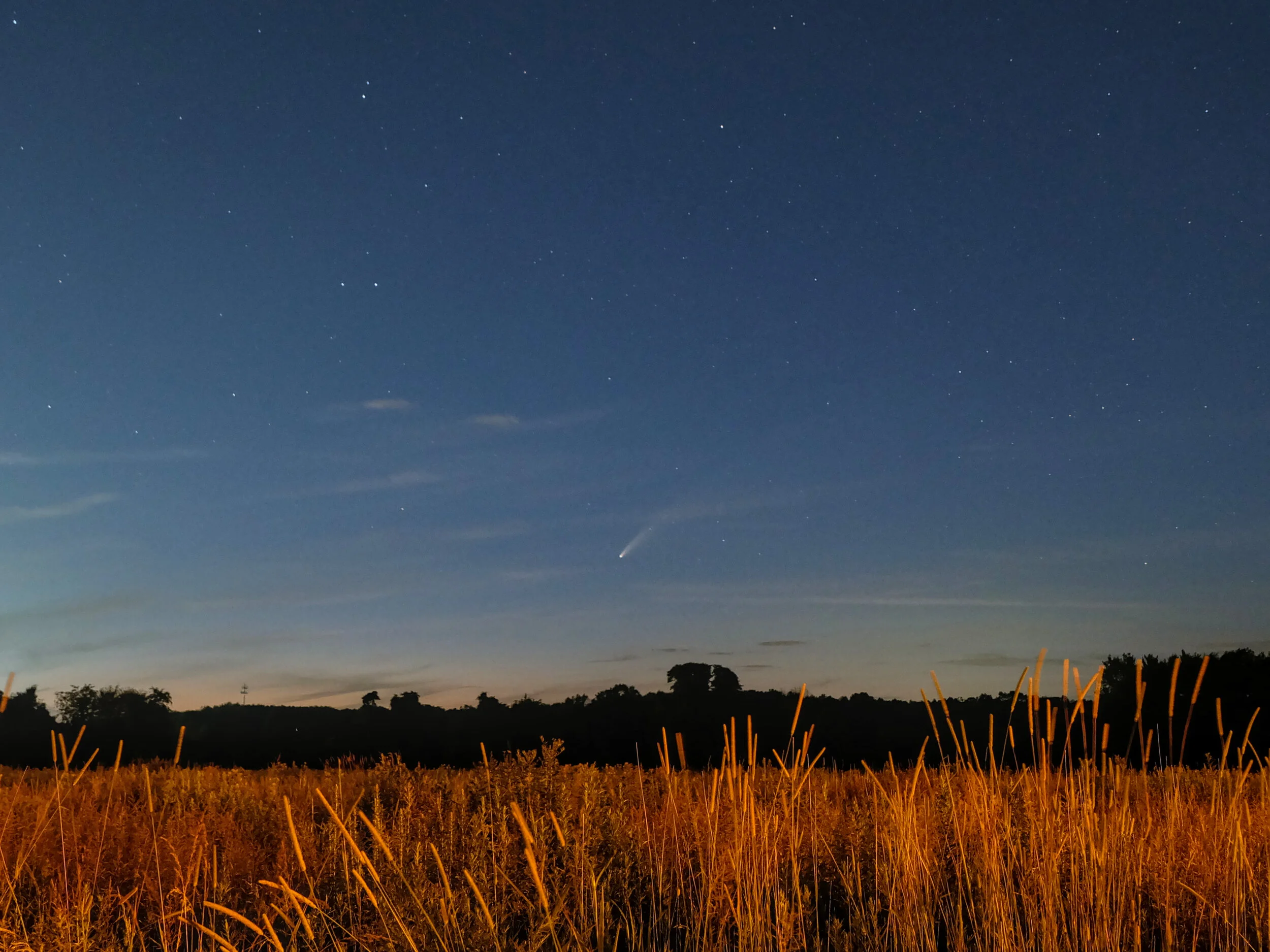 Comet NEOWISE - My First Comet!