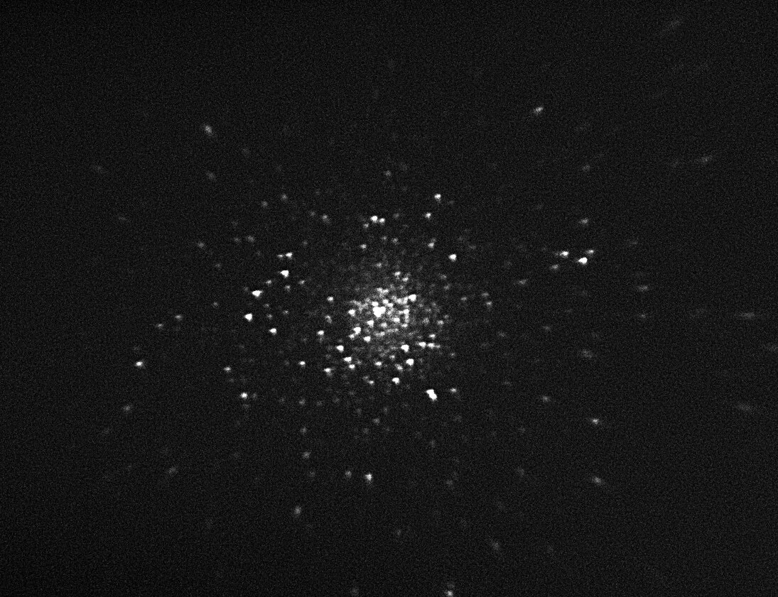 The M5 Globular Cluster