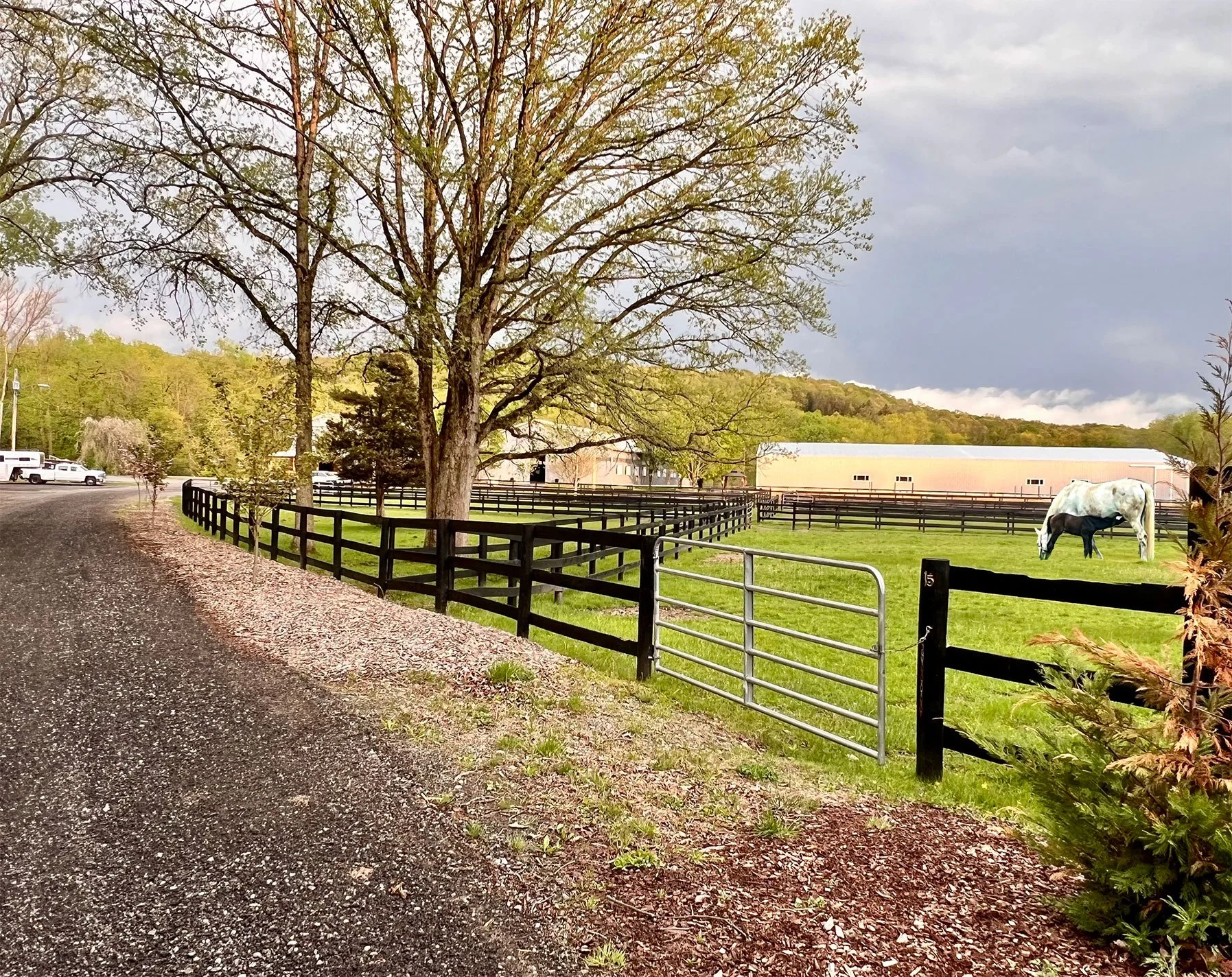 Augusta-Mills-Equestrian-Brewster-Front-Entrance-with-Pasture.jpg