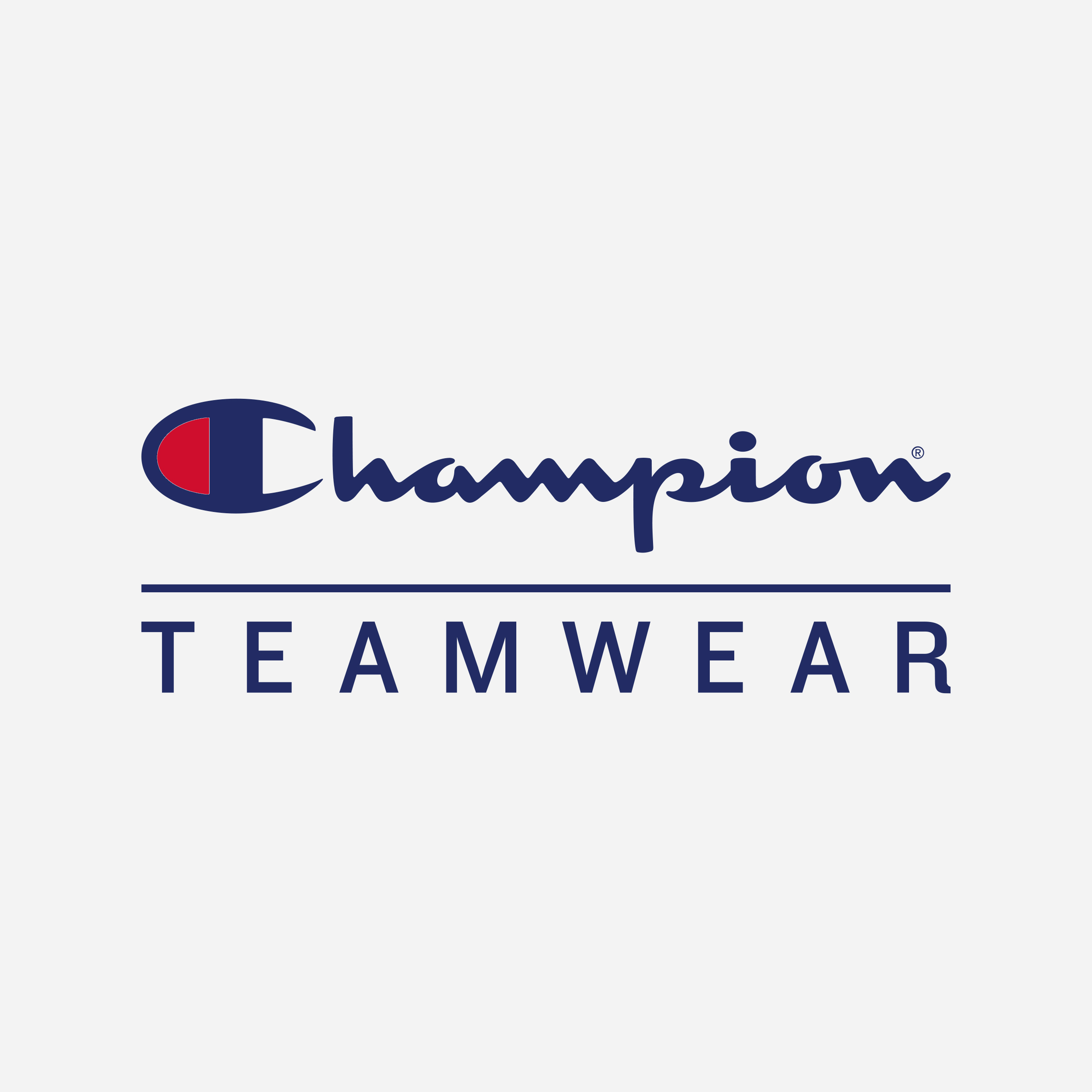 champion team wear