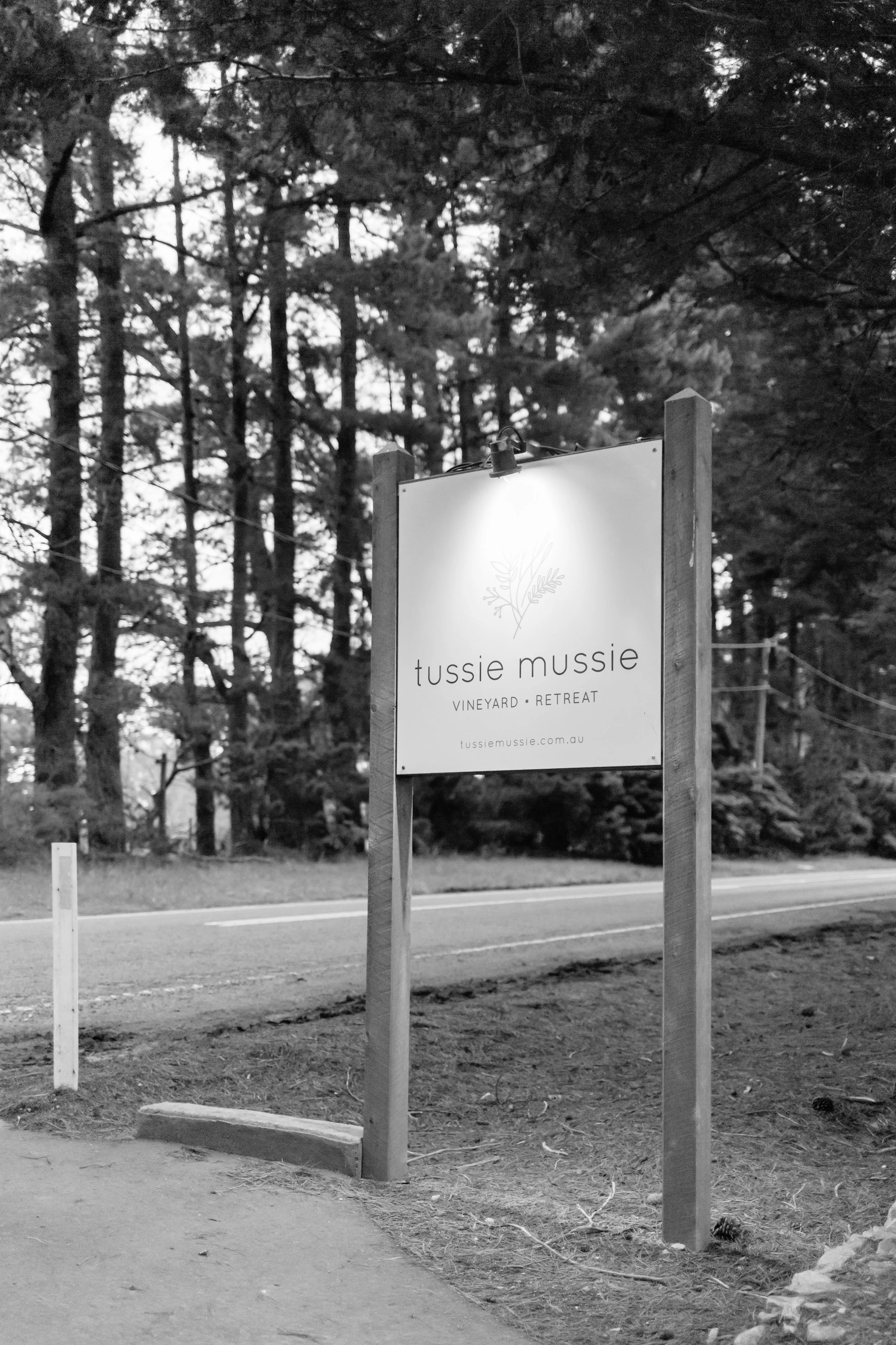 serena-tussie-mussie-1090.jpg