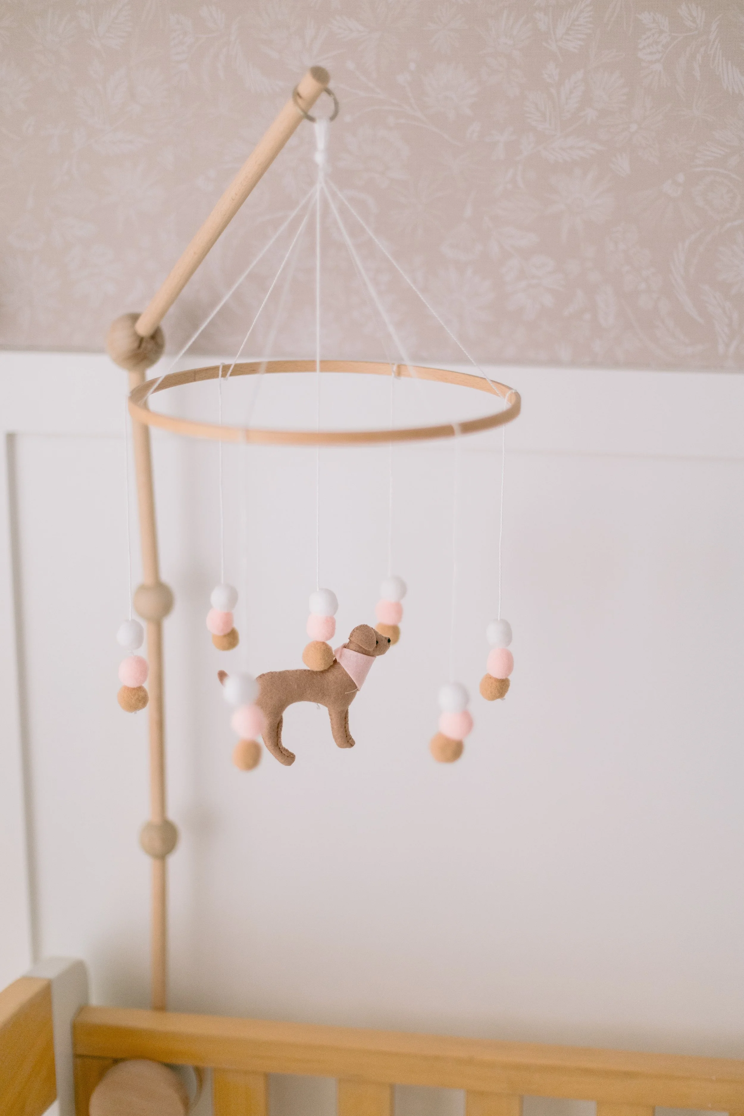 ByHollyRosePhotography-LeskoFamily24-481.jpg