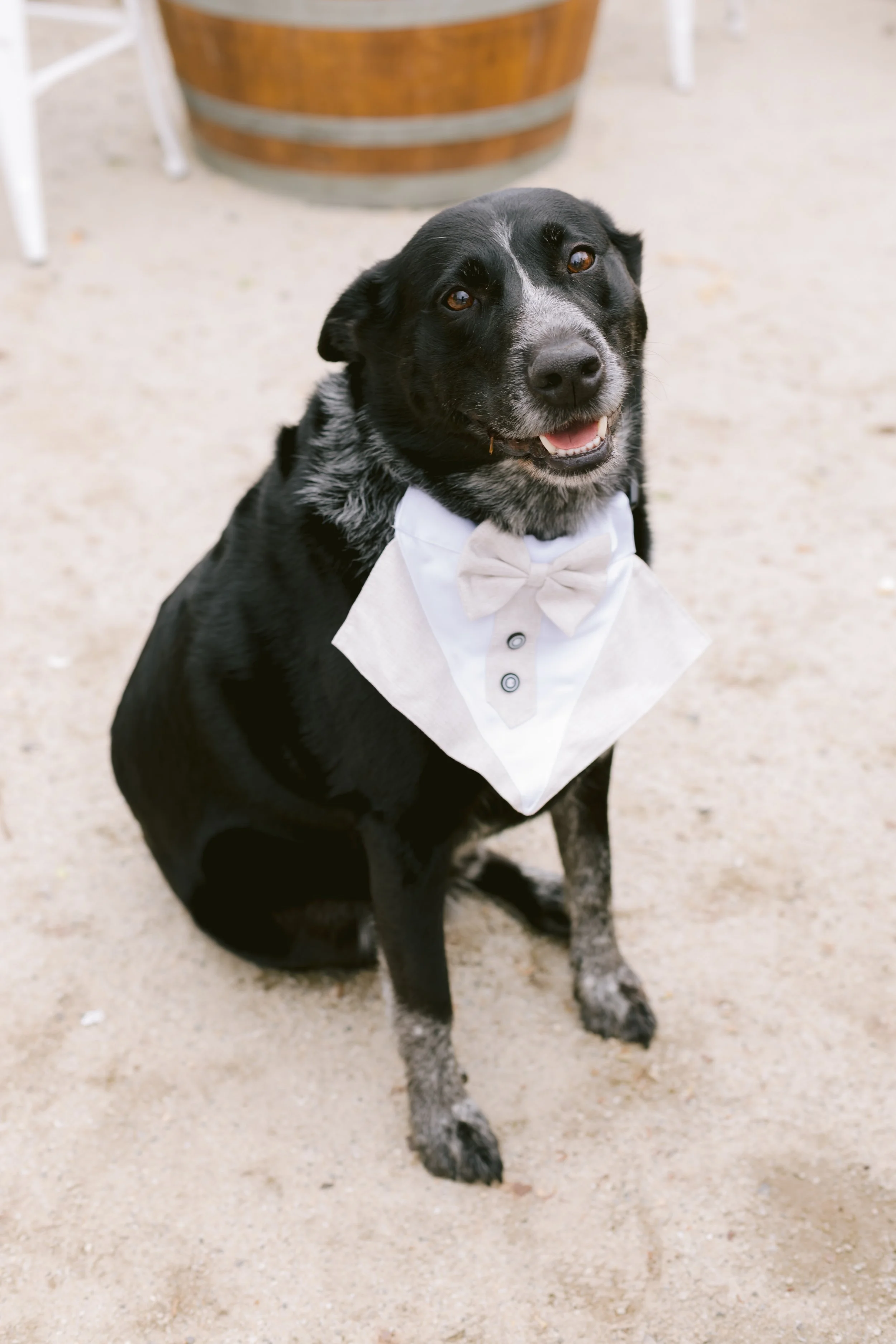 2022.04.01-D&J-Ceremony-16.jpg