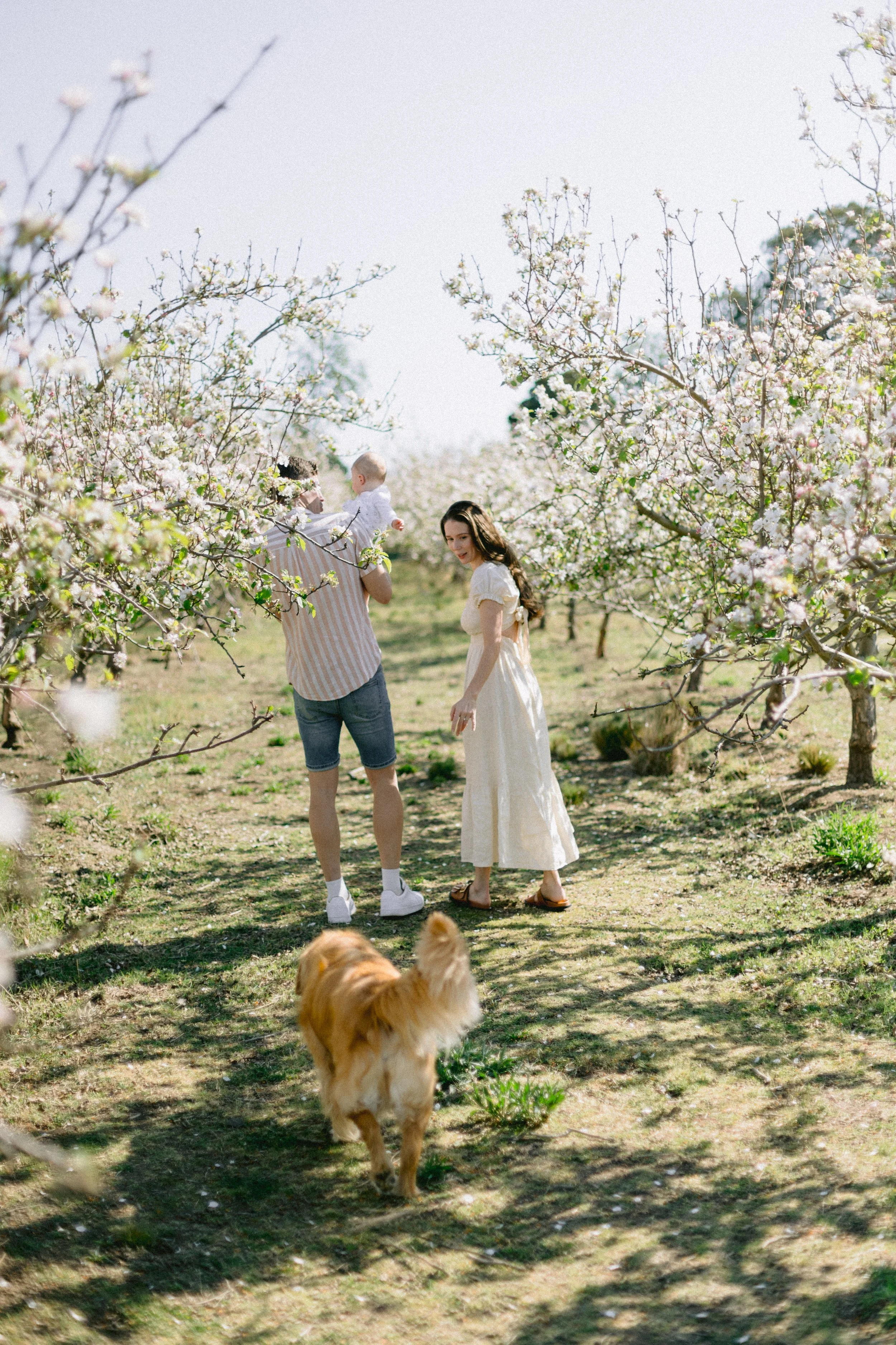 ByHollyRosePhotography-LeskoFamily24-297.jpg