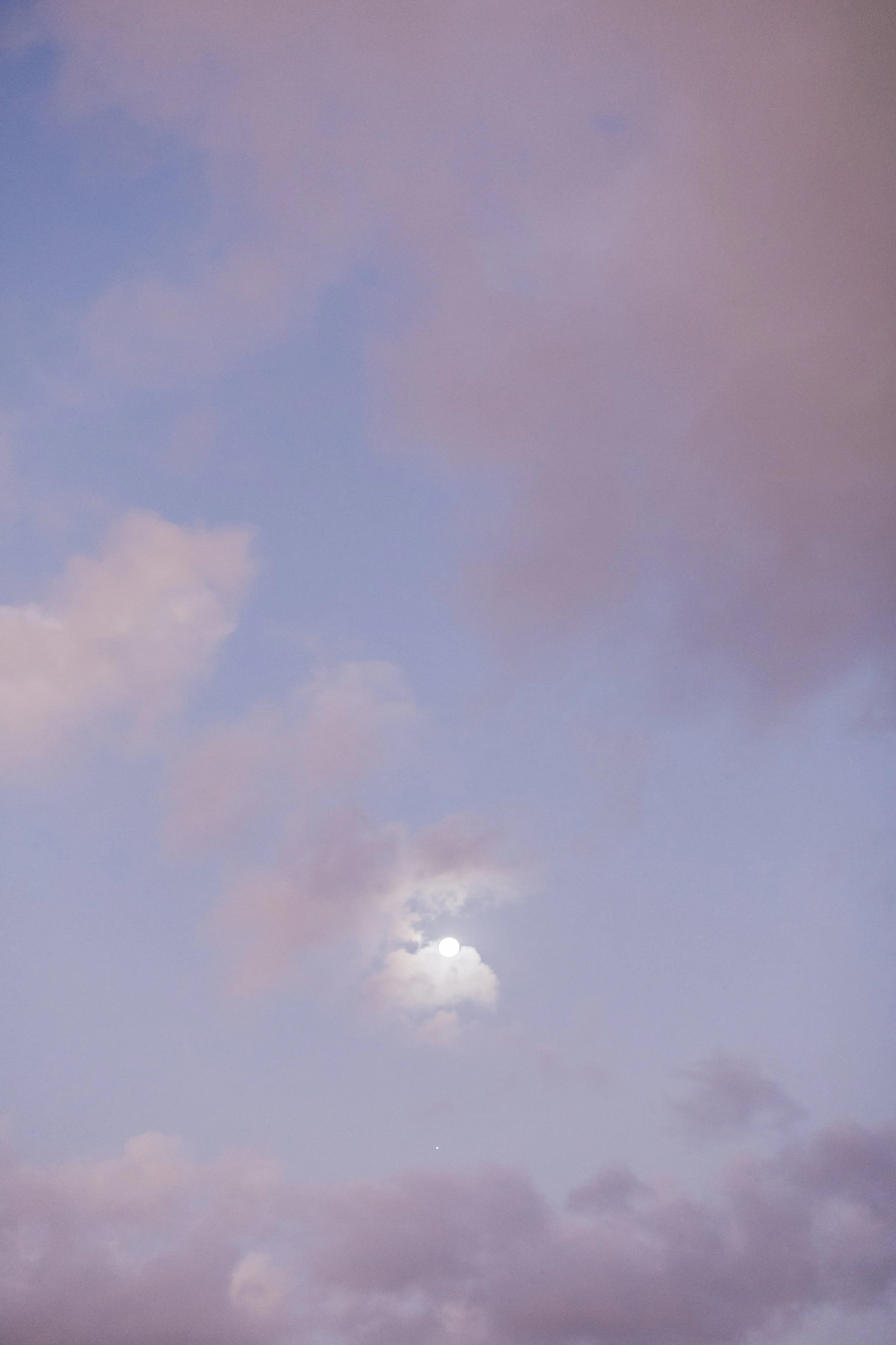Lilian-Daniel-Engagement-213.jpg