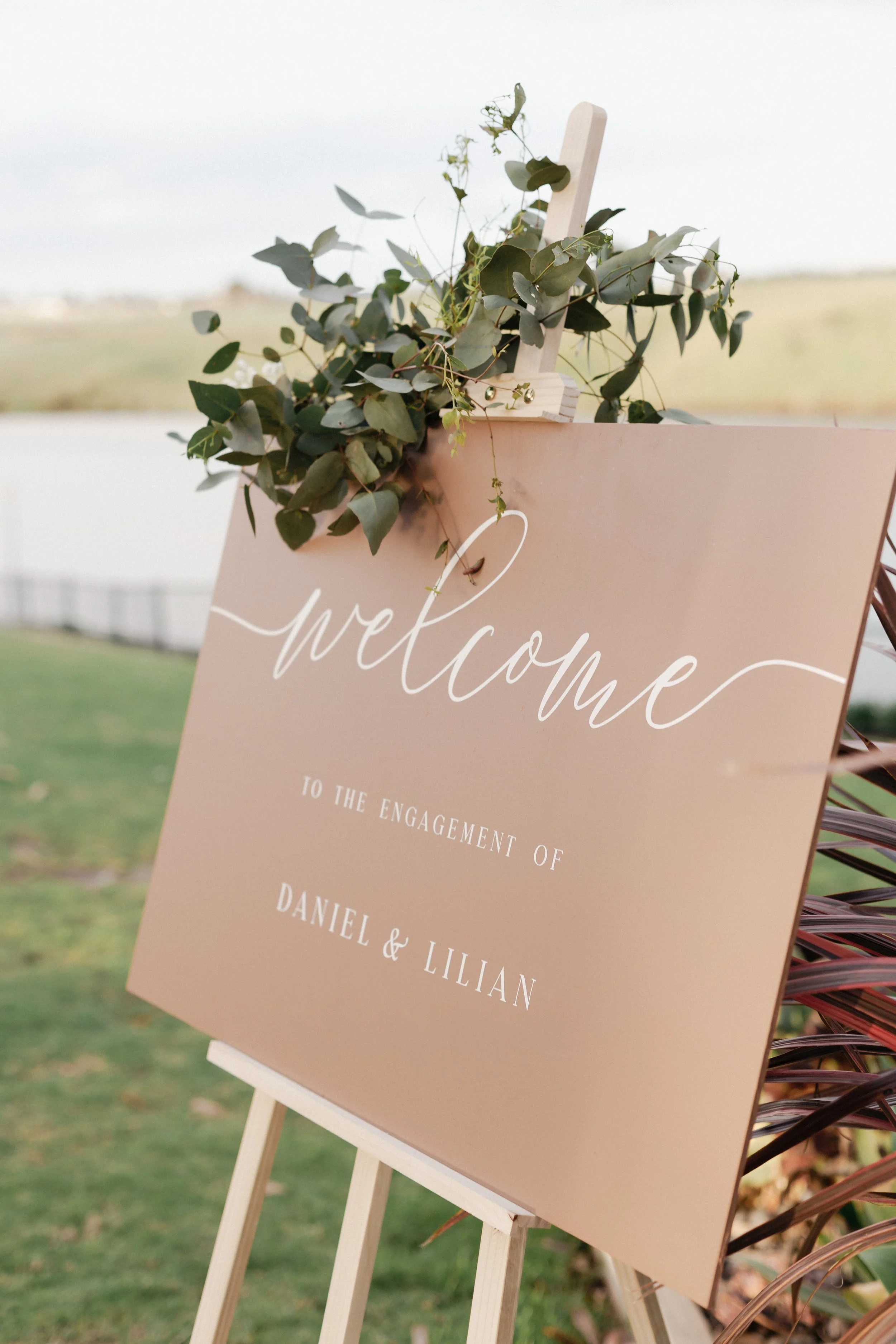 lilian-daniel-engagement-9482.jpg