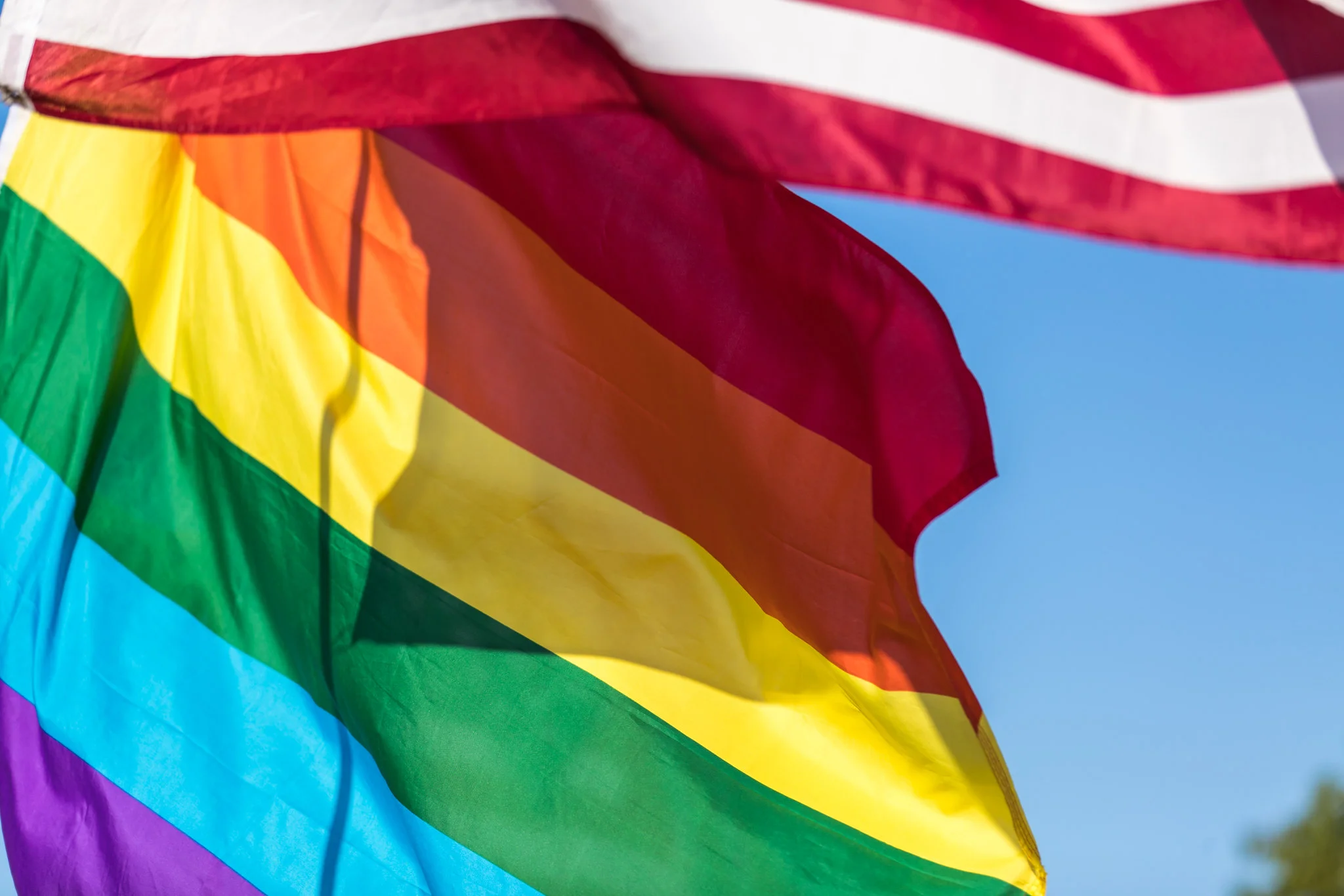 LGBTQ Pride Flag ( California Employment Development Department )