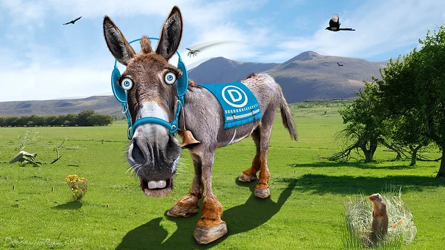Democratic Donkey - Caricature ( DonkeyHotey )
