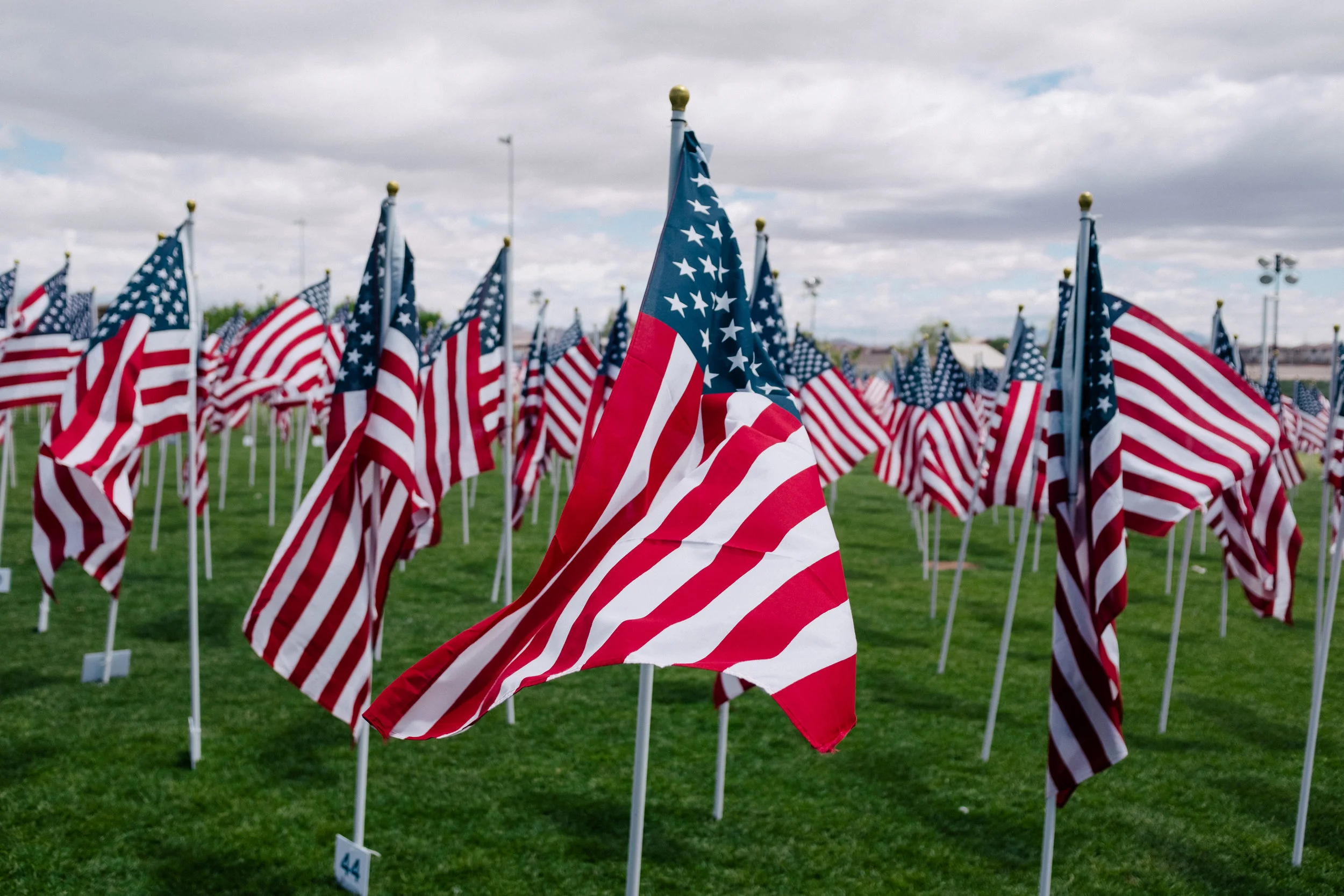 American Flags ( Wesley Tingey )